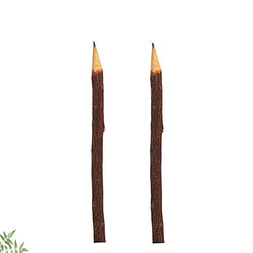 Santarms Natural neem Handcraft Wooden Pencil (7 inch Approx) {Set of 2 Pencils of neem Wood-for Kids,Girls, Boys -Best for Gifting